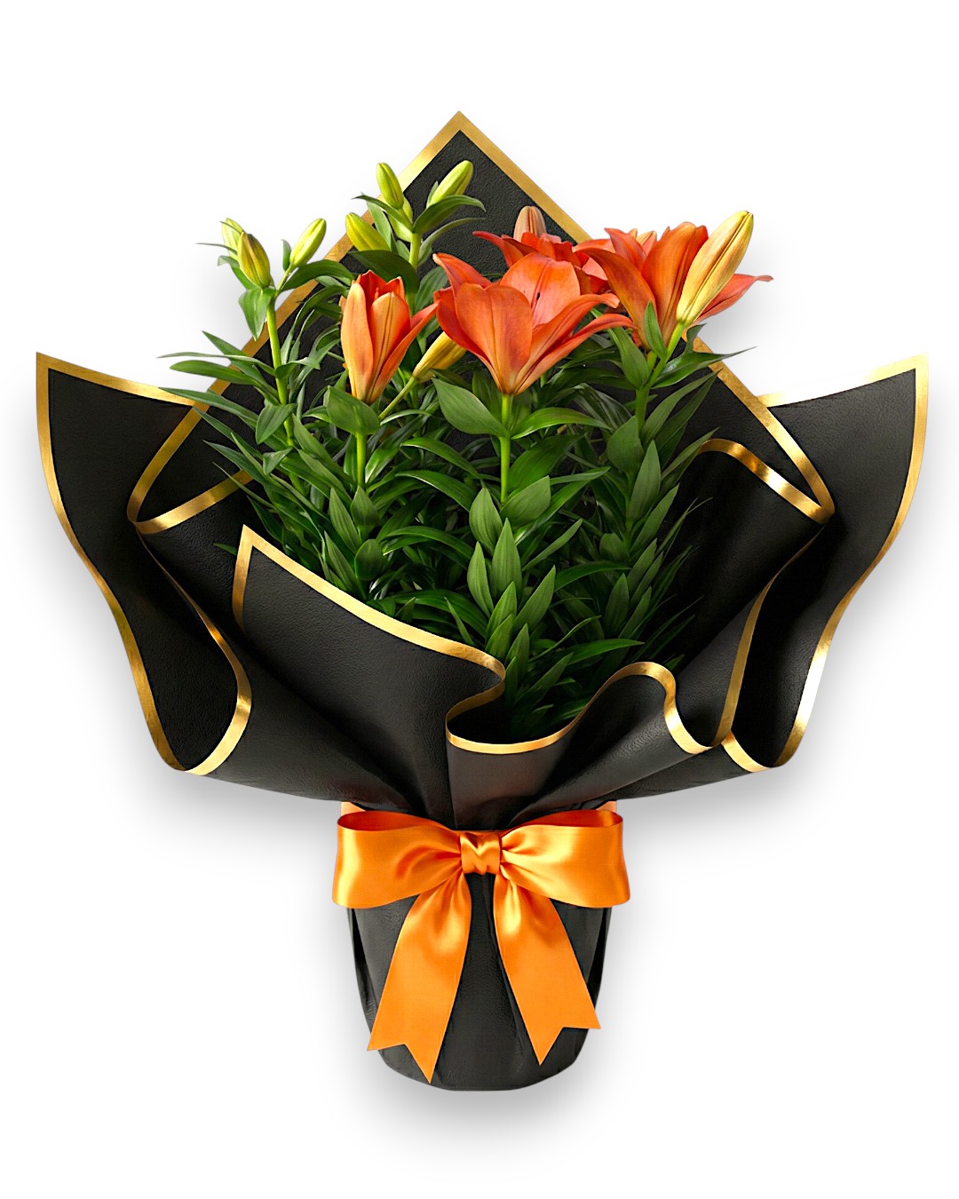 Turuncu lilyum zambak çiçeği